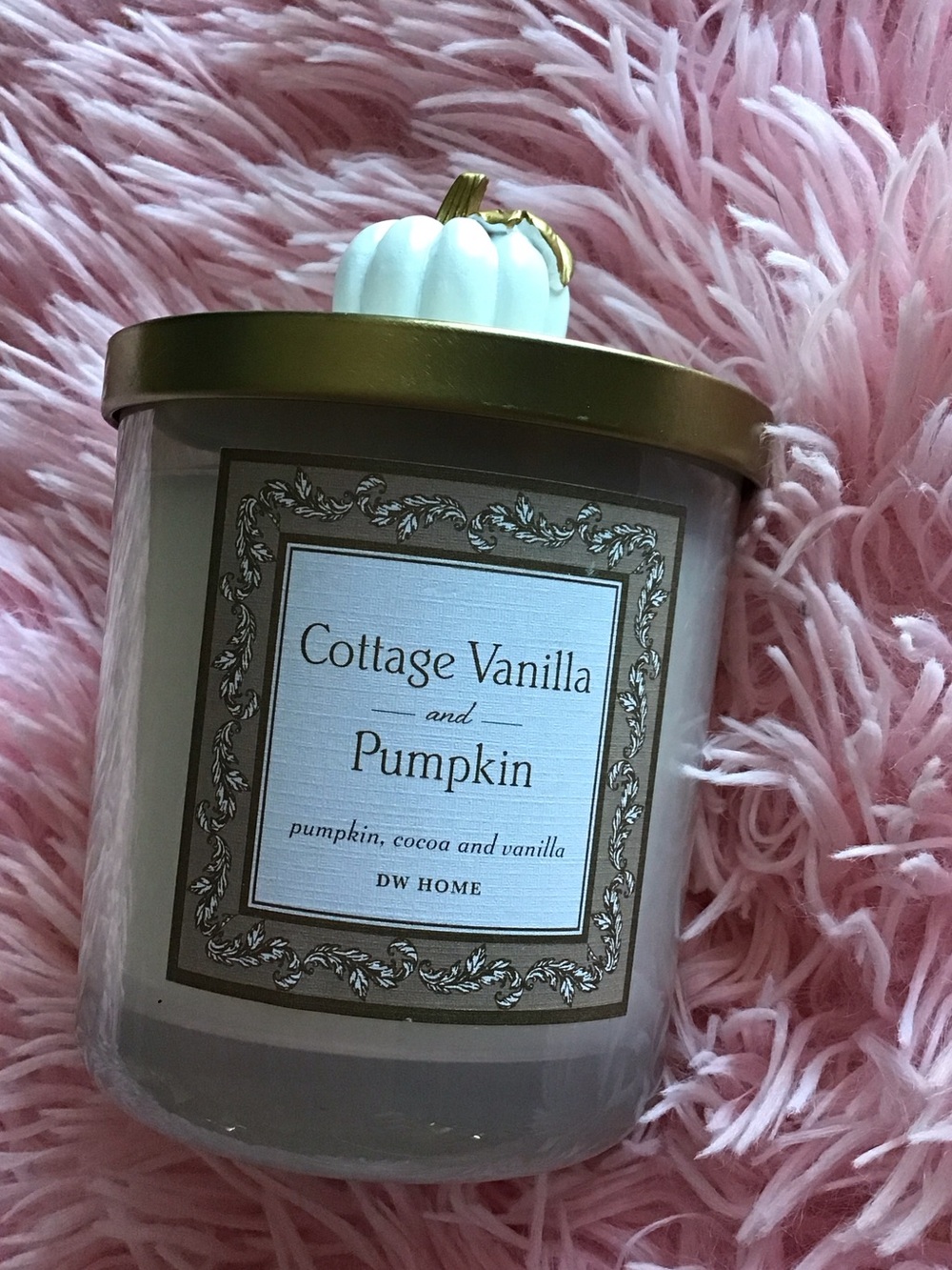 DW Home Cottage Vanilla, Cocoa & Pumpkin Scented Candle
- White Pumpkin Lid